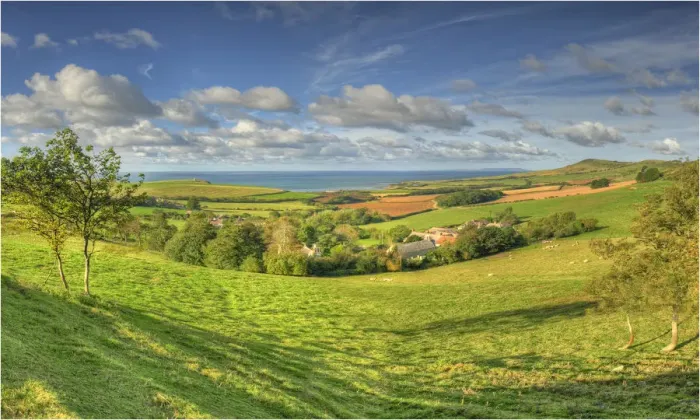 Framed Print : A view of the coastline at Kimmeridge bay, Jurassic coastline of Dorset, south west England Framed Print : A view of the coastline at Kimmeridge bay, Jurassic coastline of Dorset, south west England