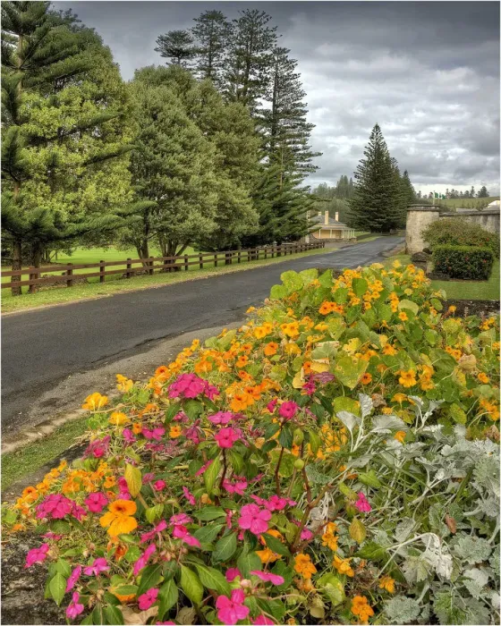 Framed Print : A view of colonial buildings in Quality row, Norfolk Island Framed Print : A view of colonial buildings in Quality row, Norfolk Island