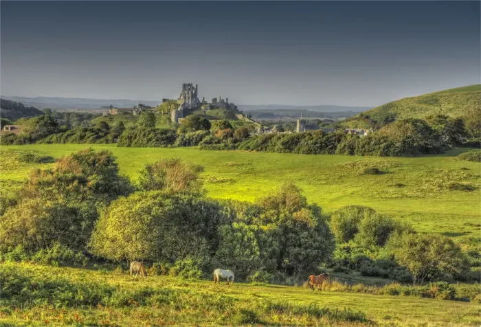 Framed Print : View to Corfe Castle Framed Print : View to Corfe Castle