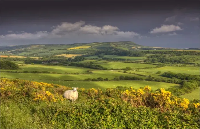 Framed Print : A view of the countryside in the Purbeck hills, Dorset, England, United kingdom