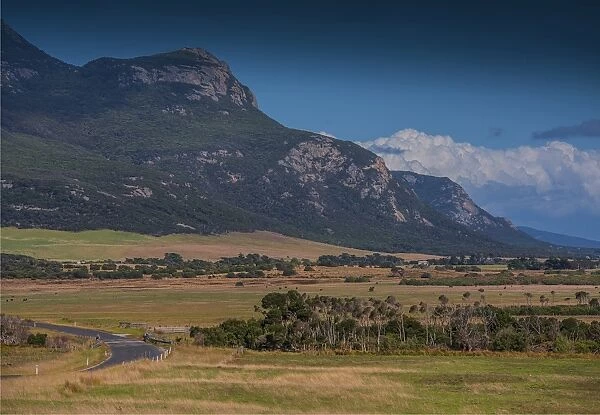 View across countryside towards the Strzelecki mountains, Flinders Island, Bass Strait, Tasmania, Australia