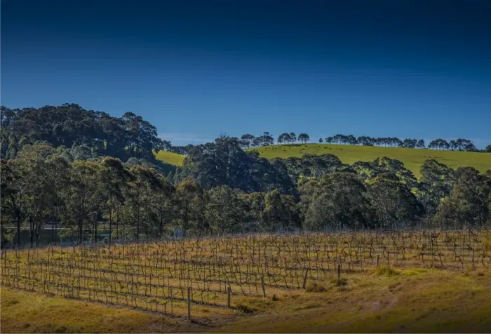 Framed Print : View of the countryside at the Tilba winery, southern coastline of New South Wales, Australia
