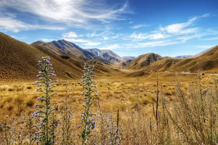 Framed Print : View of the Crown Range Summit in Otago, Wakatipu District, South Island, New Zealand