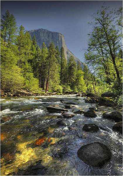 A view to El Capitan, Yosemite national park, California