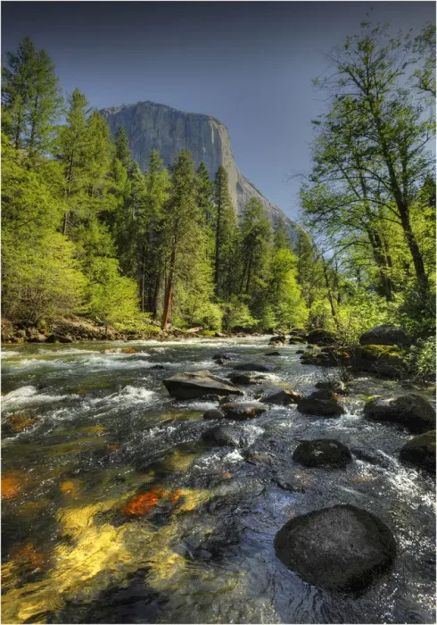 Framed Print : A view to El Capitan, Yosemite national park, California Framed Print : A view to El Capitan, Yosemite national park, California