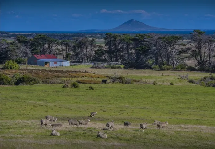 Framed Print : A view across farmland towards Chappell Island, on the coastline of Flinders Island, Bass Strait, Tasmania, Australia Framed Print : A view across farmland towards Chappell Island, on the coastline of Flinders Island, Bass Strait, Tasmania, Australia