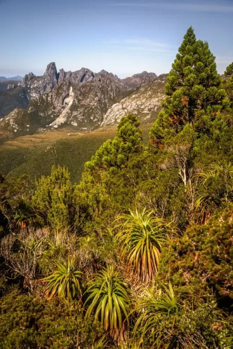 Framed Print : View to Federation Peak in Eastern Arthur Range, Southwest Tasmania Framed Print : View to Federation Peak in Eastern Arthur Range, Southwest Tasmania