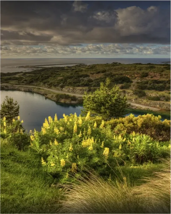 Framed Print : View to the flooded Scheelite mine, Grassy, King Island, Bass Strait, Tasmania Framed Print : View to the flooded Scheelite mine, Grassy, King Island, Bass Strait, Tasmania