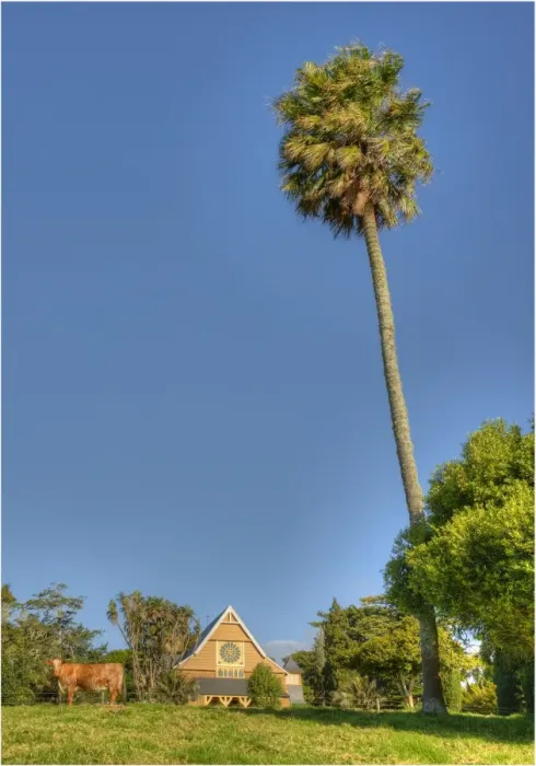 Framed Print : A view to the historic Saint Barnabas Chapel, Norfolk Island Framed Print : A view to the historic Saint Barnabas Chapel, Norfolk Island