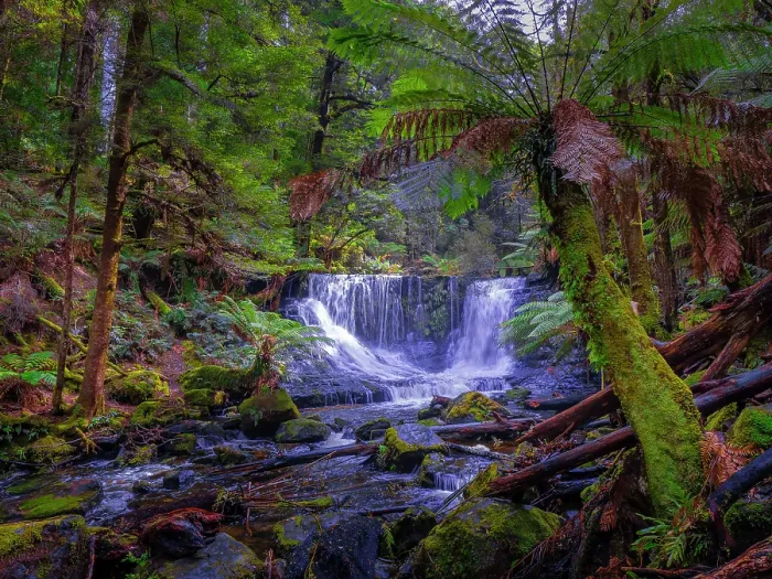 Framed Print : A view to Horseshoe falls in the Mount Field National Park southern Tasmania, Australia Framed Print : A view to Horseshoe falls in the Mount Field National Park southern Tasmania, Australia