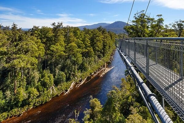 View of Huon River and the Cantilever Bridge on the Tahune Forest AirWalk, Huon Valley, Southern Tasmania, Australia