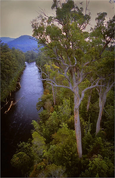 A view of the Huon river near the Tahune airwalk in southern Tasmania