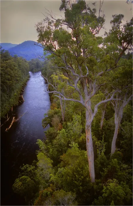 Framed Print : A view of the Huon river near the Tahune airwalk in southern Tasmania Framed Print : A view of the Huon river near the Tahune airwalk in southern Tasmania
