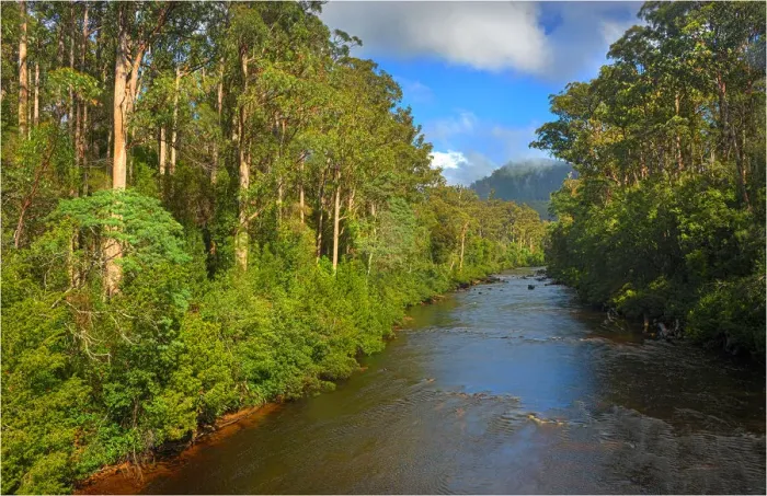 Framed Print : A view of the Huon river near the Tahune airwalk in southern Tasmania