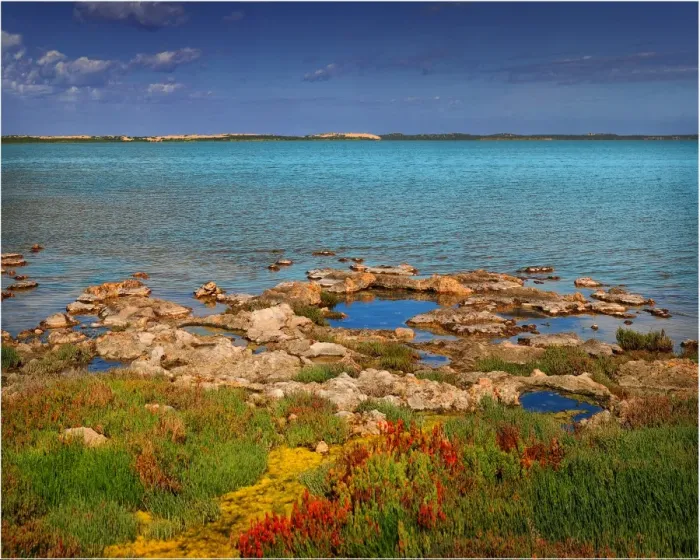Framed Print : View of the Koorong, South Australia