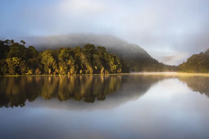 Framed Print : View Looking Down the Pieman River at Sunrise Framed Print : View Looking Down the Pieman River at Sunrise
