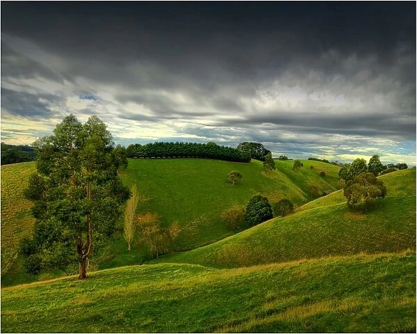 A view of the lush farmland in and around Dumbalk North, South Gippsland, Victoria