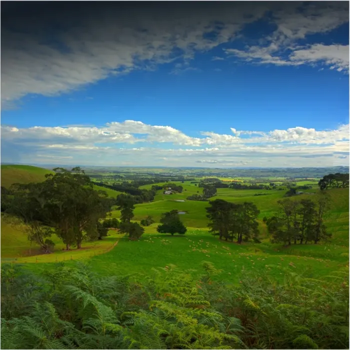 Framed Print : A view of the lush farmland in and around Dumbalk North, South Gippsland, Victoria