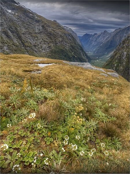 The view at Mackinnon Pass, high up in the mountainous region of the Fiordland National Park, Southland, south island, New Zealand