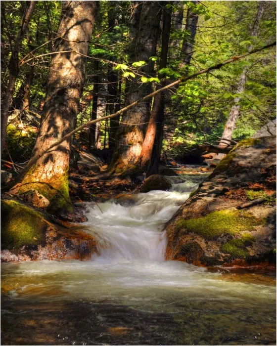 Framed Print : A view of the Merced River in Yosemite national Park, California, USA
