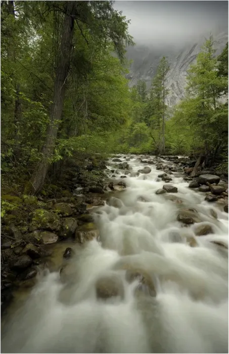 Framed Print : A view of the Merced River in Yosemite national Park, California, USA