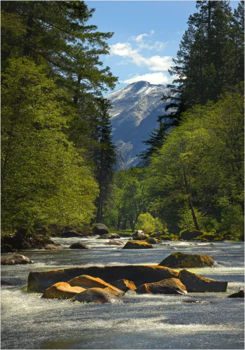 Framed Print : A view of the Merced River in Yosemite national Park, California, USA