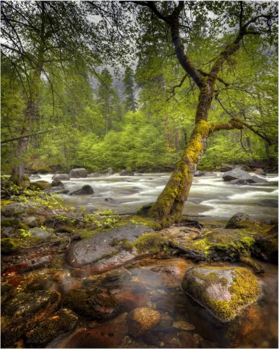 Framed Print : A view of the Merced River in Yosemite national Park, California, USA