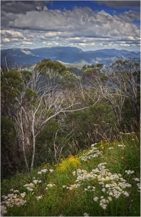 Framed Print : View at Mount Buller, Victoria, Australia Framed Print : View at Mount Buller, Victoria, Australia