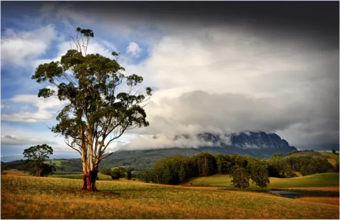 Framed Print : A view to mount Roland near the rural town of Sheffield, in central Tasmania