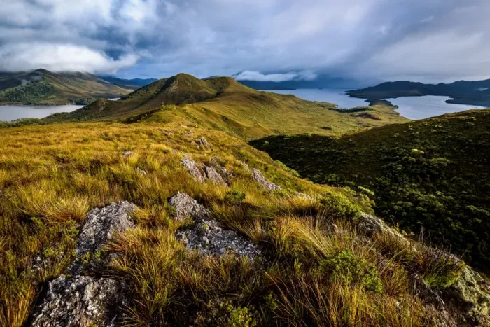 Framed Print : View from the top of Mt Beattie, Southwest Tasmania