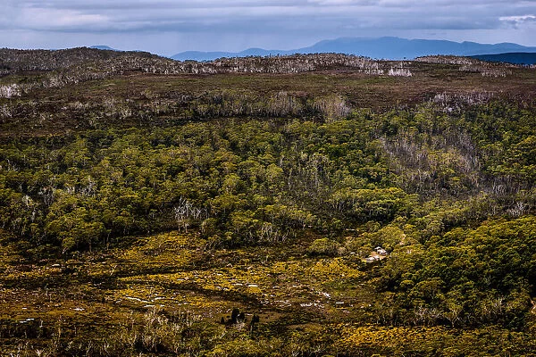 View over Mt Field National Park, Tasmania