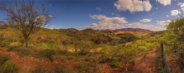 View near Angorichina, Flinders Ranges, South Australia