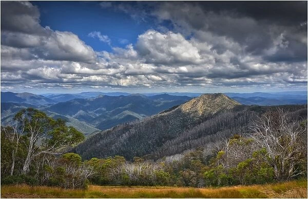 A view from near the Summit of Mount Buller, Victoria, Australia