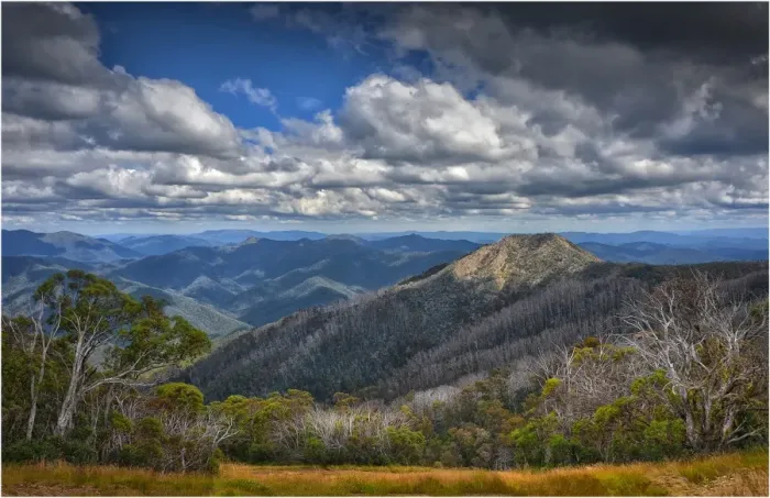 Framed Print : A view from near the Summit of Mount Buller, Victoria, Australia Framed Print : A view from near the Summit of Mount Buller, Victoria, Australia