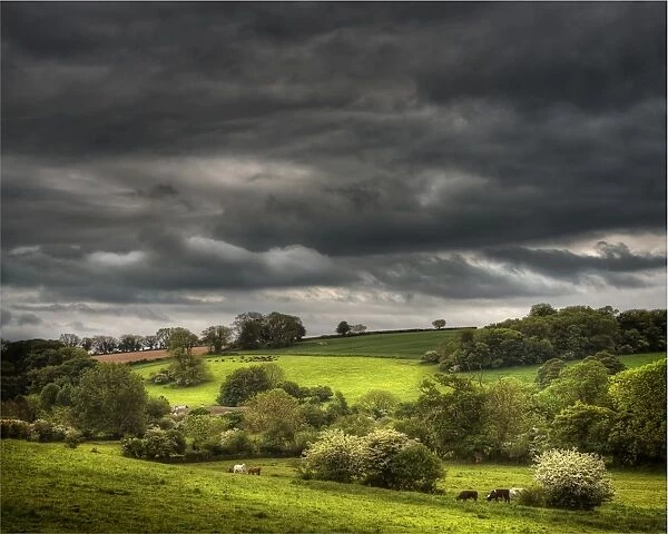 A view near the village of Piddlethrenthide, Dorset, England, United Kingdom