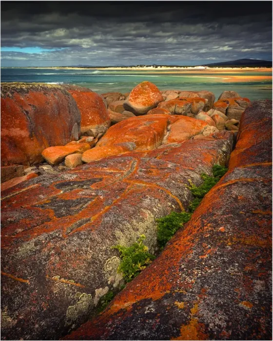 Framed Print : A view at north east point on Flinders Island, Bass Strait, Tasmania, Australia Framed Print : A view at north east point on Flinders Island, Bass Strait, Tasmania, Australia