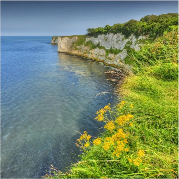 Framed Print : A view to Old Harry rocks, Jurassic coastline, Dorset, England, United Kingdom Framed Print : A view to Old Harry rocks, Jurassic coastline, Dorset, England, United Kingdom