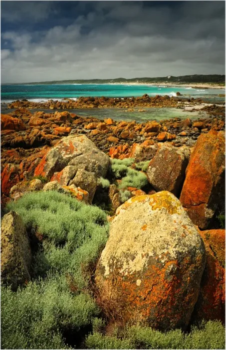Framed Print : View to Porkies beach, King Island, Bass Strait, Tasmania, Australia Framed Print : View to Porkies beach, King Island, Bass Strait, Tasmania, Australia