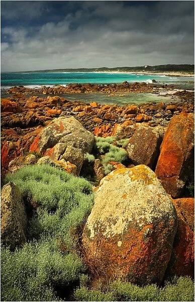 View to Porkies beach, King Island, Bass Strait, Tasmania, Australia