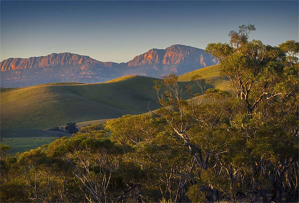 View to Rawnsley bluff, Flinders Ranges South Australia