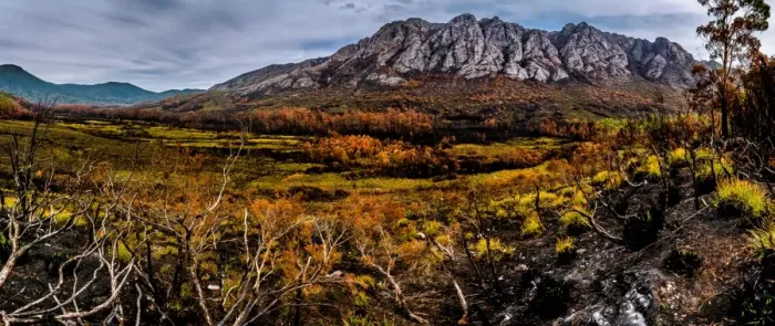 Framed Print : View to the Sentinel Range in Gordon River Valley after 2016 fires. Southwest Tasmania Framed Print : View to the Sentinel Range in Gordon River Valley after 2016 fires. Southwest Tasmania