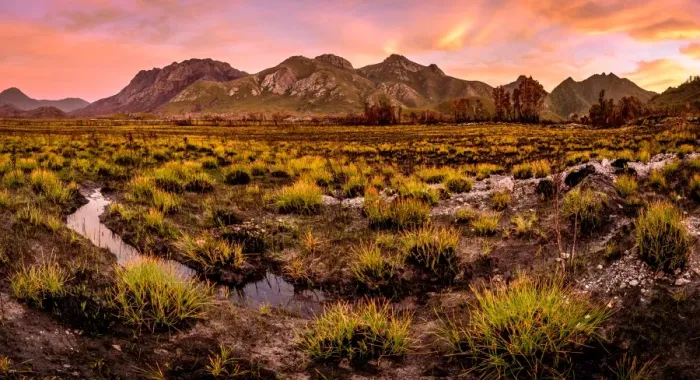 Framed Print : View to the Sentinel Range in Gordon River Valley after 2016 fires. Southwest Tasmania Framed Print : View to the Sentinel Range in Gordon River Valley after 2016 fires. Southwest Tasmania