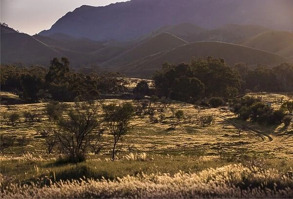 A view of the southern Flinders Ranges National Park near Wilpena, in South Australia