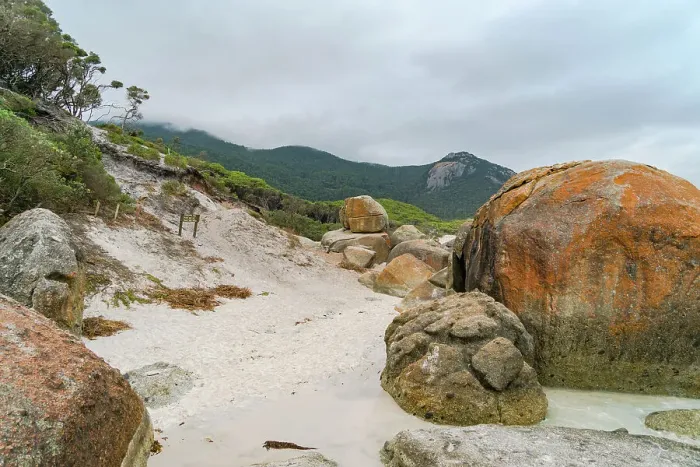 Framed Print : A view of Squeaky Beach | Wilson's Promontory National Park | Victoria | Australia Framed Print : A view of Squeaky Beach | Wilson's Promontory National Park | Victoria | Australia