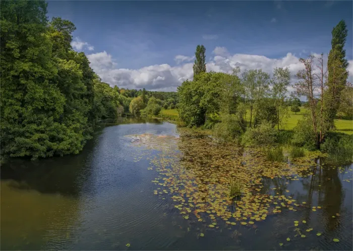 Framed Print : A view of the Stour river at Blandford Forum, Dorset, England, United Kingdom