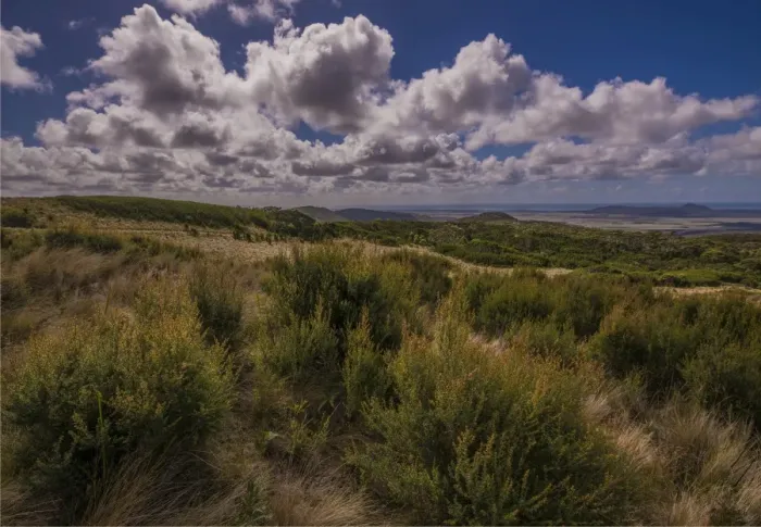 Framed Print : A view towards the Strzelecki range, Flinders Island, Bass Strait, Tasmania, Australia