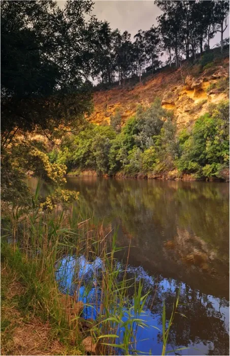 Framed Print : A view of the Tambo river, east Gippsland, Victoria, Australia