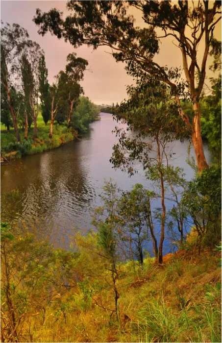 Framed Print : A view of the Tambo river, east Gippsland, Victoria, Australia Framed Print : A view of the Tambo river, east Gippsland, Victoria, Australia
