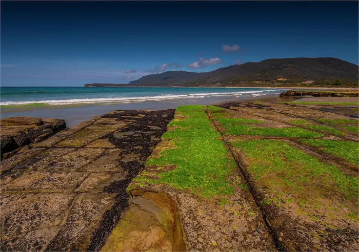 Framed Print : A view of the Tessalated pavement at Pirates bay, Tasman Peninsular, Tasmania, Australia Framed Print : A view of the Tessalated pavement at Pirates bay, Tasman Peninsular, Tasmania, Australia
