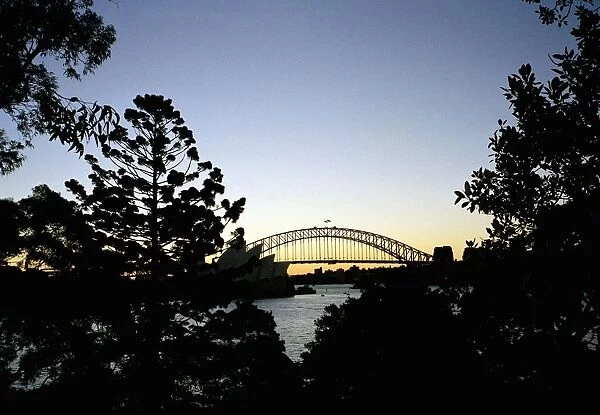 View through trees of Sydney Harbour Bridge
